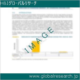 グローバルリサーチ調査レポートのイメージ